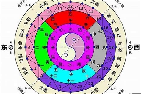 五行偏枯|八字偏枯是什么意思？八字偏枯命好不好？